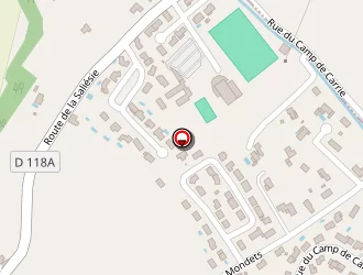 Carte de Ploteau Samuel à Saliès