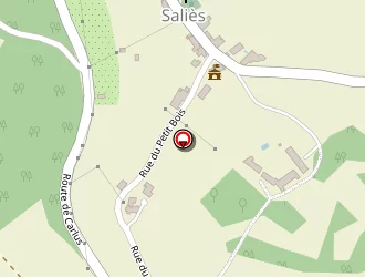 Carte de Franzinetti Patrick à Saliès