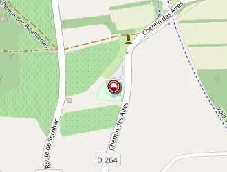 Carte de Piscine Municipale à Meynes