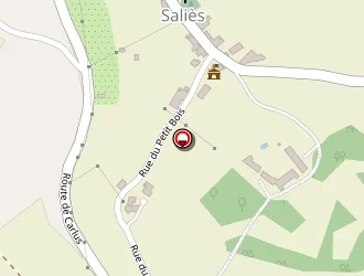 Carte de Boucles De Randonnées à Saliès