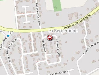 Carte de Fortuna Jérôme à Saint-sardos