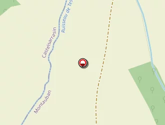 Carte de Espaces Verts 82 à Saint-sardos