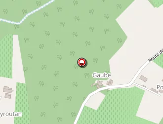 Carte de Les Gibiers De Gascogne à Larée