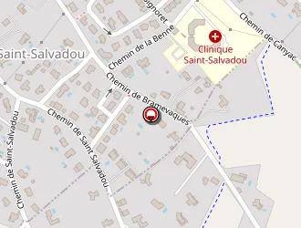 Carte de Rossinelli Martine à Puygouzon