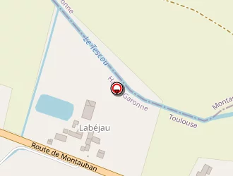 Carte de Negro Frederic à Born (le)