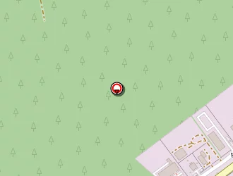 Carte de Caminel à Saint-avit