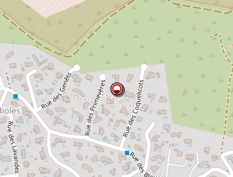 Carte de Pointurier Béatrice à Poulx