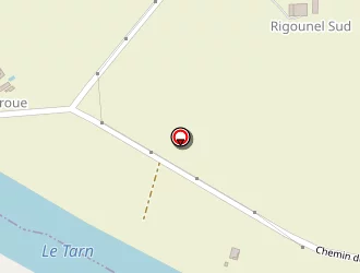 Carte de Buil René à Labastide-saint-pierre