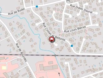 Carte de Mcdonald's à Albi