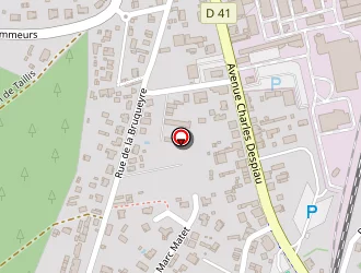 Carte de Mouchel à Rion-des-landes