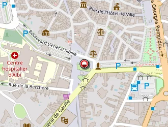 Carte de Perrouin Luc à Albi