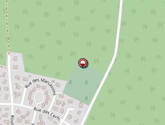 Carte de Taxi Linxe à Linxe