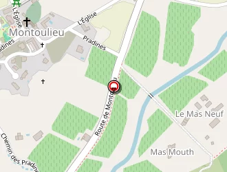 Carte de Chafiol (gaec) à Montoulieu