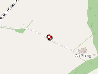 Carte de Litzler Claude à Isle-bouzon (l')