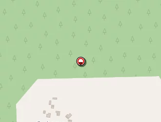 Carte de Plan B à Saint-martin-d'oney