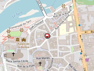 Carte de Geek Store Albi à Albi