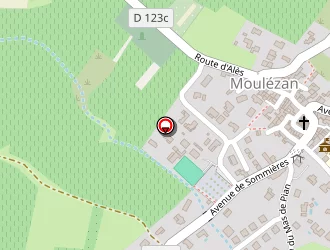 Carte de Magnin Denis à Moulézan