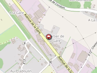 Carte de Schweitzer Nicolas à Lectoure