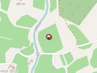 Carte de Martin Patrick à Montoulieu