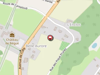 Carte de Jélonek Henri à Cazaubon