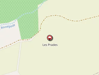 Carte de Codiplast à Rouvière (la)