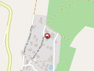 Carte de Berti Florence à Montagnac