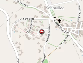 Carte de Teixido Alphonse à Senouillac