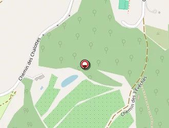 Carte de Base De Loisirs à Murs