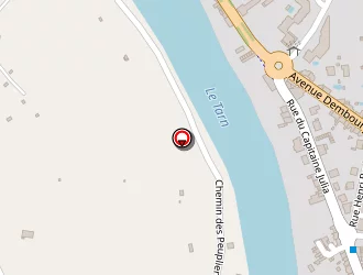 Carte de Maestro Pizza à Albi