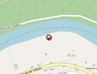 Carte de Boussaguet Frédéric à Ambialet