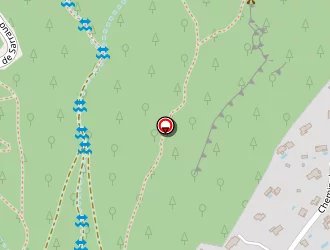 Carte de Lamy Thierry à Saint-saturnin-lès-apt