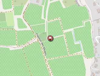 Carte de Chirol Suzanne à Jonquerettes