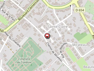 Carte de Delbrouque Mickael à Condom