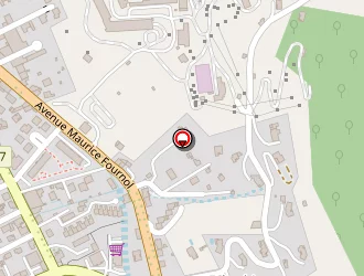 Carte de Codomier Ludovic à Saint-affrique