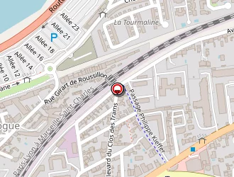 Carte de Lalauze Christine à Avignon