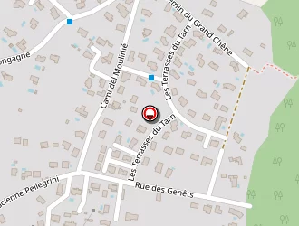 Carte de Huc Denis à Arthès