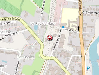 Carte de Salles Caroline à Condom