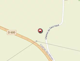 Carte de Pépin Vincent à Castelnau-de-lévis