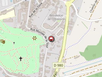 Carte de Ringenbach Patrick Guy à Villeneuve-lès-avignon