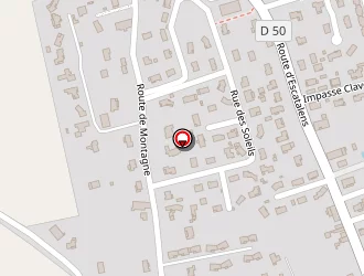 Carte de Ramadier Jean-philippe à Montech