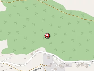 Carte de Vidal Frank à Saint-affrique