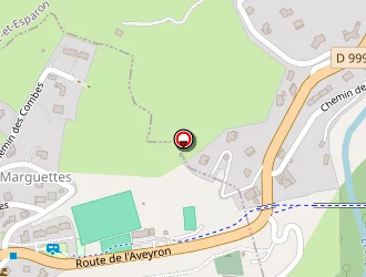 Carte de Cintas Thierry à Arre