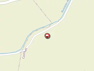 Carte de Fleury Thierry à Castanet