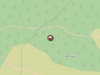 Carte de Transfer Furiani Daniel à Rigaud