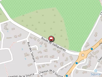 Carte de Molho Benoît à Rochefort-du-gard