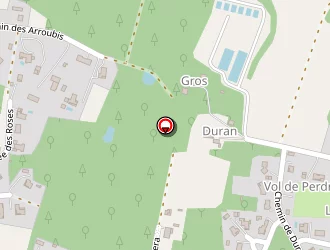 Carte de Mairie à Pouydesseaux