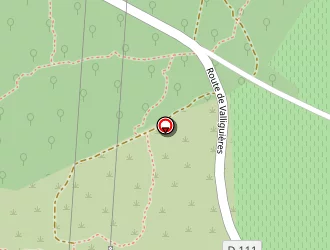 Carte de Gizard Jérôme à Rochefort-du-gard