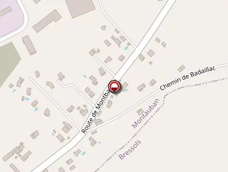 Carte de Robert Laetitia à Montauban