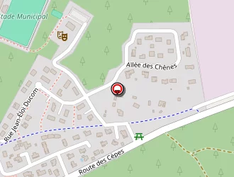 Carte de Taxi Nadia à Lesperon