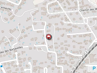 Carte de Bourret Guy à Villeneuve-lès-avignon